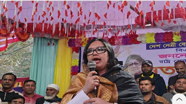 বিএনপি মনোনয়ন ছাড়াও ব্রাহ্মণবাড়িয়া–২ আসনে প্রার্থী হওয়ার ঘোষণা রুমিন ফারহানার